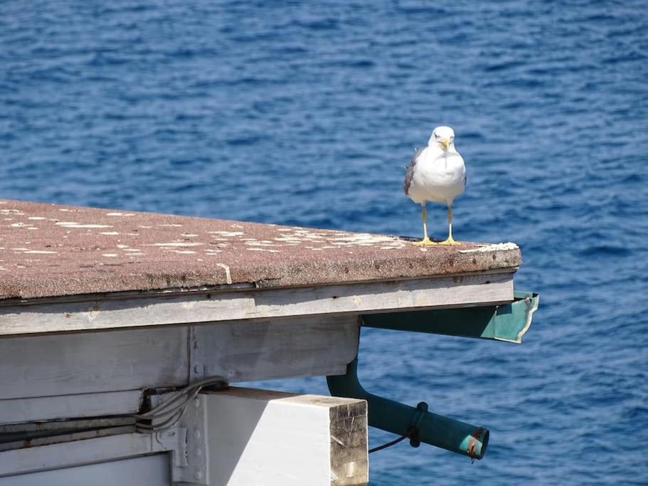 Willa Casa Vela Cefalù Zewnętrze zdjęcie